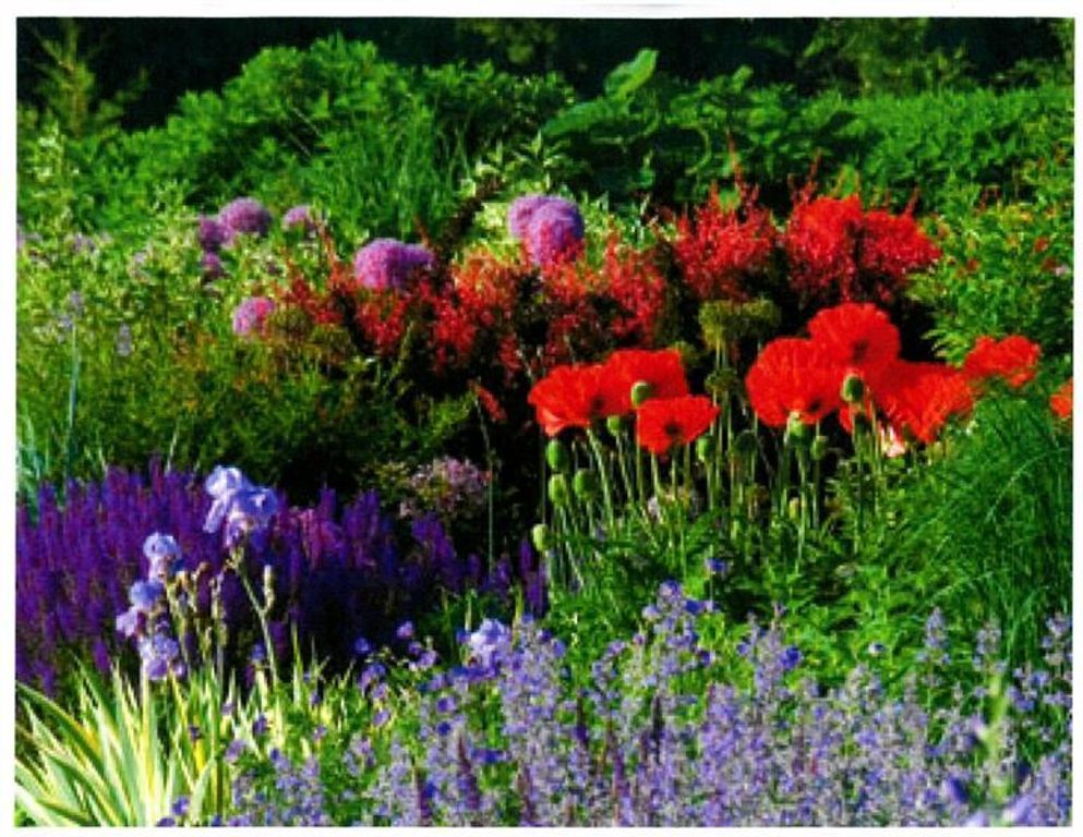 Image 40 of property listing at 2100 West Wesley Road, Atlanta, GA 30327