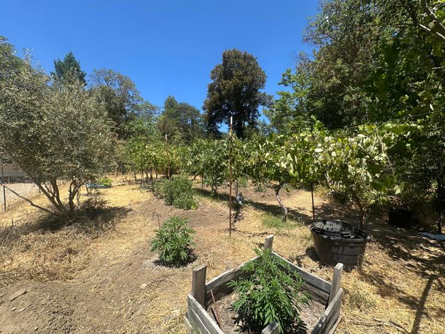 2611 Redwood Drive, Redway, CA 95560