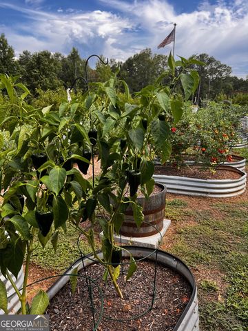 3439 Jeff Davis Road, Thomaston, GA 30286