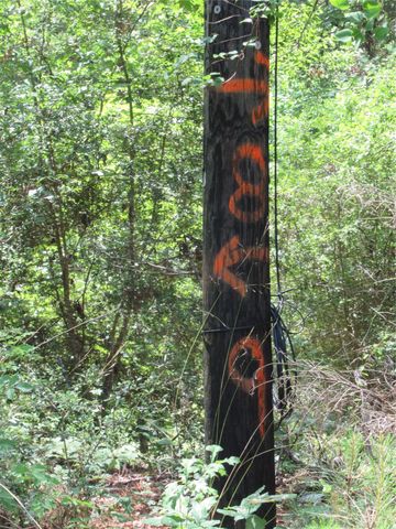 361 Noel, Livingston, TX 77351