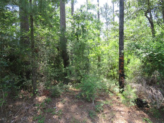 361 Noel, Livingston, TX 77351