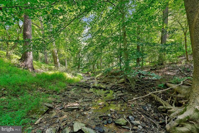 13121 ESWORTHY RD, North Potomac, MD 20878