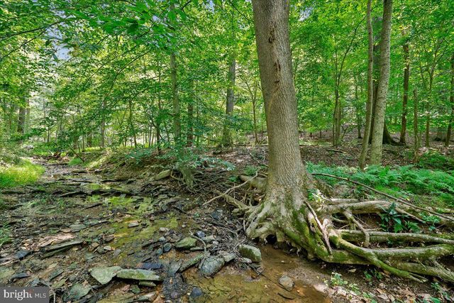 13121 ESWORTHY RD, North Potomac, MD 20878
