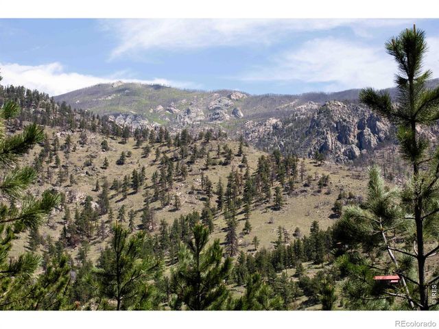255 Miller Fork Road, Glen Haven, CO 80532