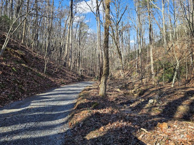 6617 Green River Cove Road, Saluda, NC 28773