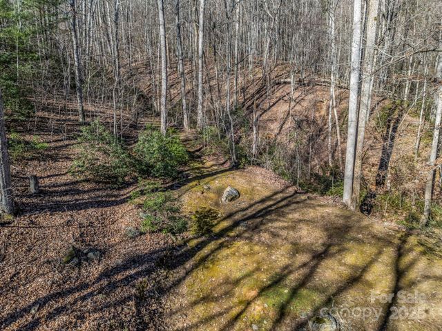 6617 Green River Cove Road, Saluda, NC 28773