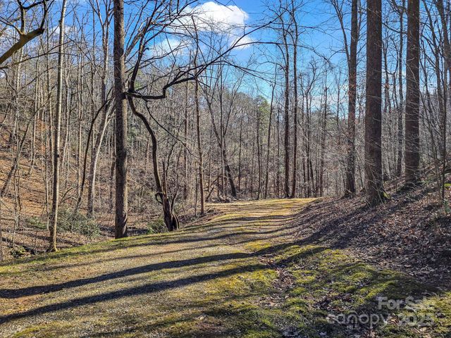 6617 Green River Cove Road, Saluda, NC 28773