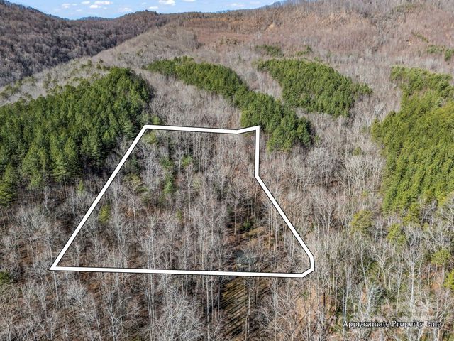 6617 Green River Cove Road, Saluda, NC 28773