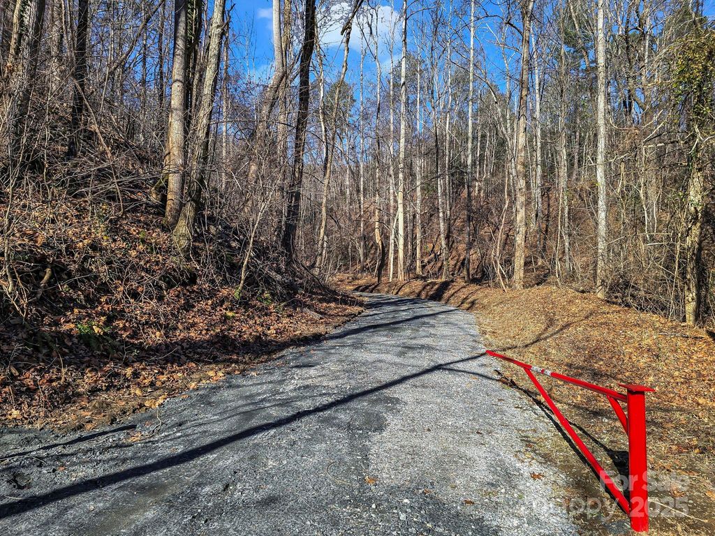 6617 Green River Cove Road, Saluda, NC 28773