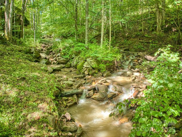 4828 Max Patch Road, Clyde, NC 28721