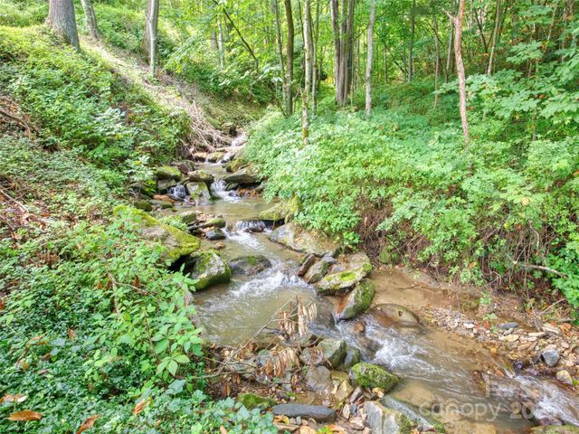4828 Max Patch Road, Clyde, NC 28721