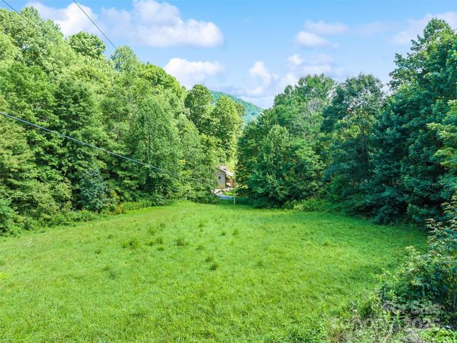 4828 Max Patch Road, Clyde, NC 28721