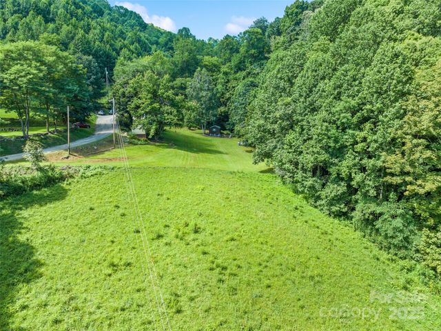 4828 Max Patch Road, Clyde, NC 28721