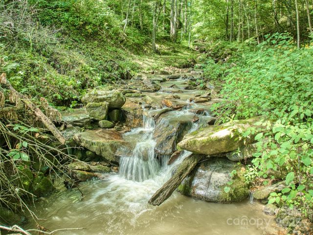4828 Max Patch Road, Clyde, NC 28721