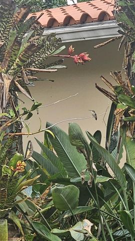 6371 Hutchinson Rd, Miami Lakes, FL 33014