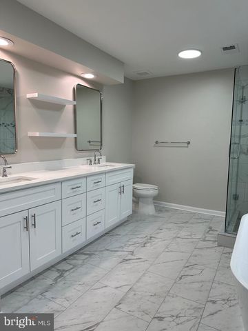 21274 MEADOWSWEET CT, Ashburn, VA 20147
