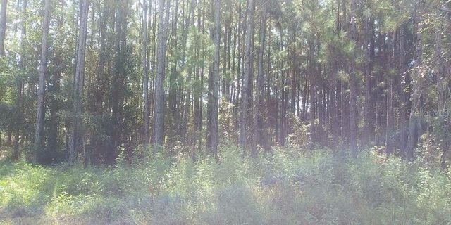 POYNER ROAD, Polk City, FL 33868