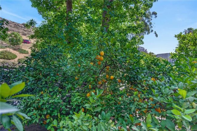 5462 Sierra Vista, Riverside, CA 92505