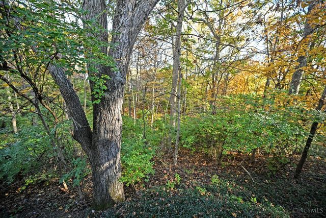 161 Dogwood Drive, Loveland, OH 45140