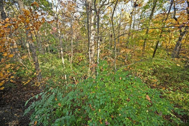 161 Dogwood Drive, Loveland, OH 45140