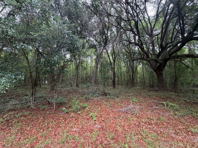 6541 June Burn Road, Manning, SC 29102