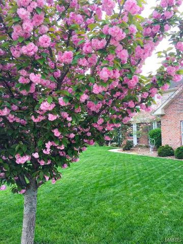 1524 Caleb Court, Swansea, IL 62226