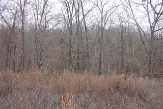 TBD Cromarty Drive, Bella Vista, AR 72715