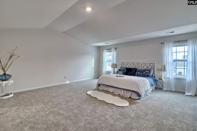 116 Rushton Drive, Chapin, SC 29036