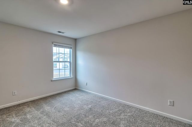 116 Rushton Drive, Chapin, SC 29036