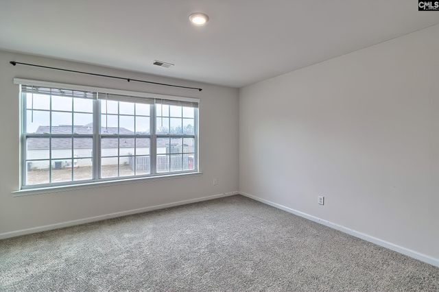 116 Rushton Drive, Chapin, SC 29036