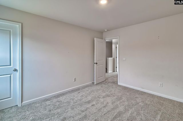 116 Rushton Drive, Chapin, SC 29036