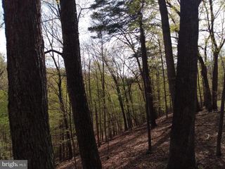 Lot 50 BIRCH GROVE LANE, Berkeley Springs, WV 25411