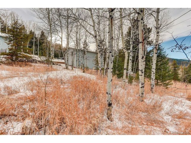 20543 Cypress Dr, Morrison, CO 80465