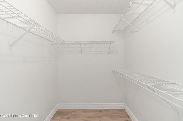 847 Trailwood Avenue, Titusville, FL 32796