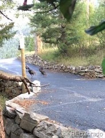 1145 Saddleback Drive, Evergreen, CO 80439