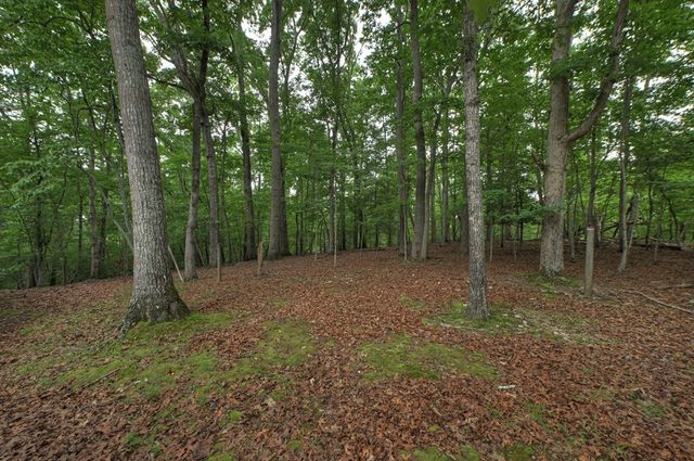 1076 Riverview Drive, Ellijay, GA 30540