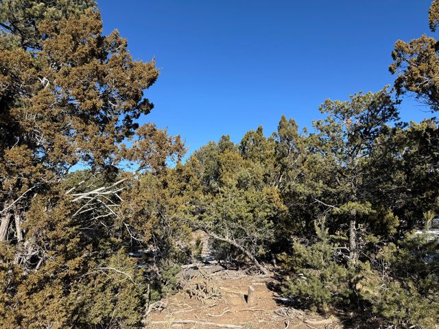 31 PUNCH Court, Tijeras, NM 87059