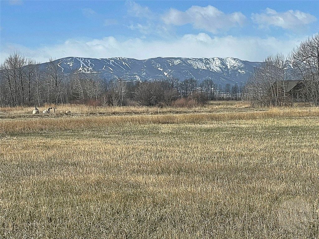 48 Buttercup DRIVE, Roberts, MT 59070 photo 23