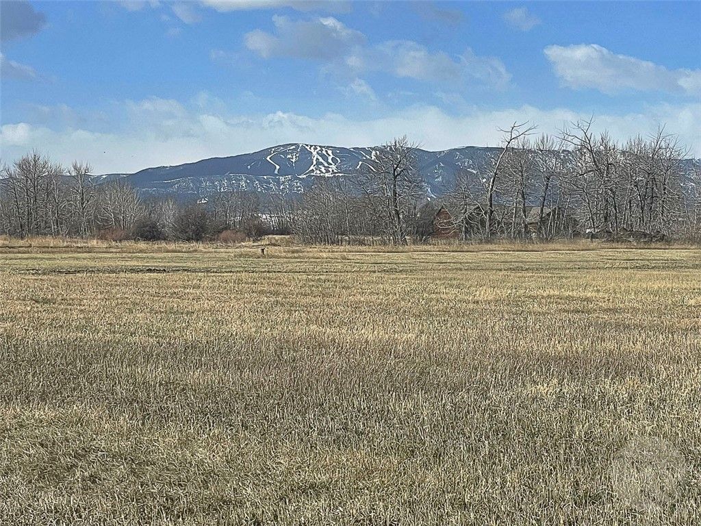 48 Buttercup DRIVE, Roberts, MT 59070 photo 24