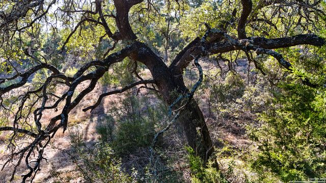 3010 Campestres, Spring Branch, TX 78070