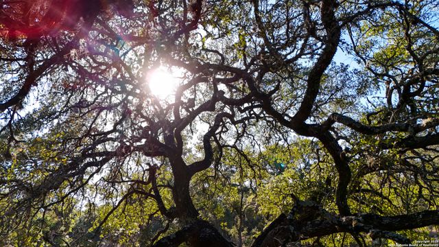 3010 Campestres, Spring Branch, TX 78070