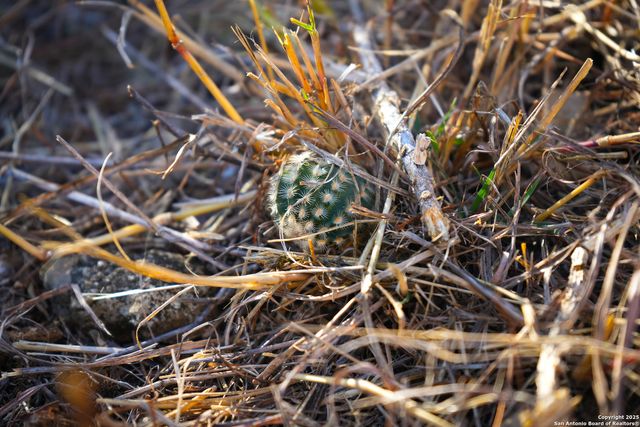 3010 Campestres, Spring Branch, TX 78070