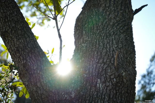 3010 Campestres, Spring Branch, TX 78070