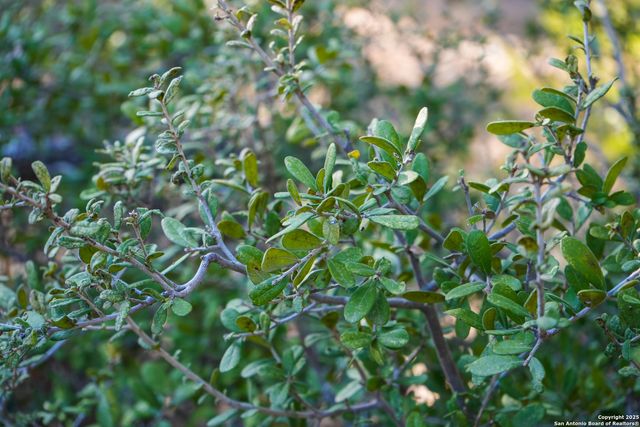 3010 Campestres, Spring Branch, TX 78070