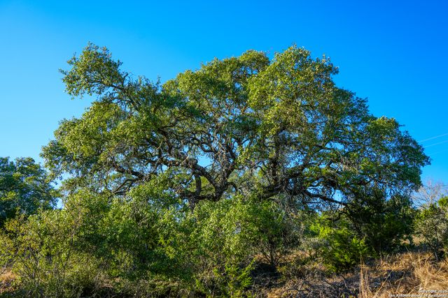 3010 Campestres, Spring Branch, TX 78070