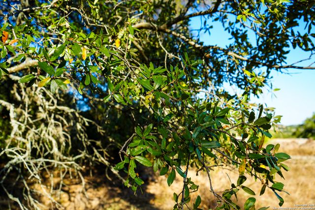 3010 Campestres, Spring Branch, TX 78070