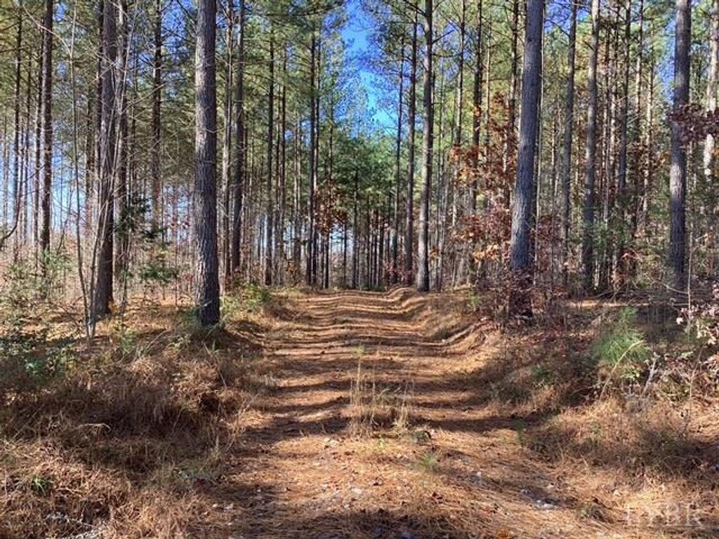 0 Lewis Ford Road, Brookneal, VA 24528