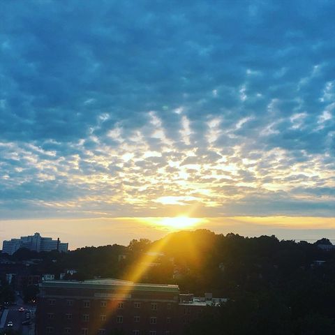 78 Fort Avenue 78, Boston, MA 02119