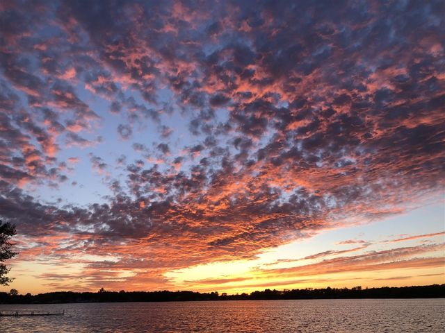 8623 Mohawk Trail LOT 61, Howard City, MI 49329