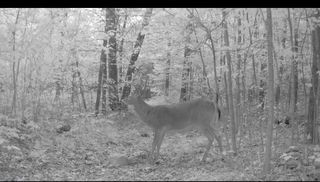 22903 Waterwheel Drive, Pierson, MI 49339